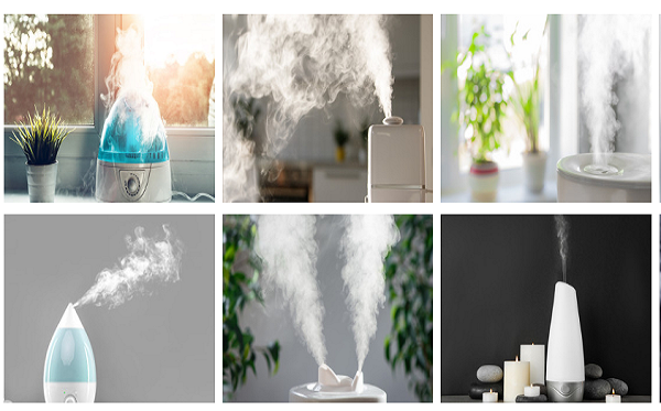 Read more about the article Best 6 Honeywell Cool Mist Humidifier | Review And Analysis
